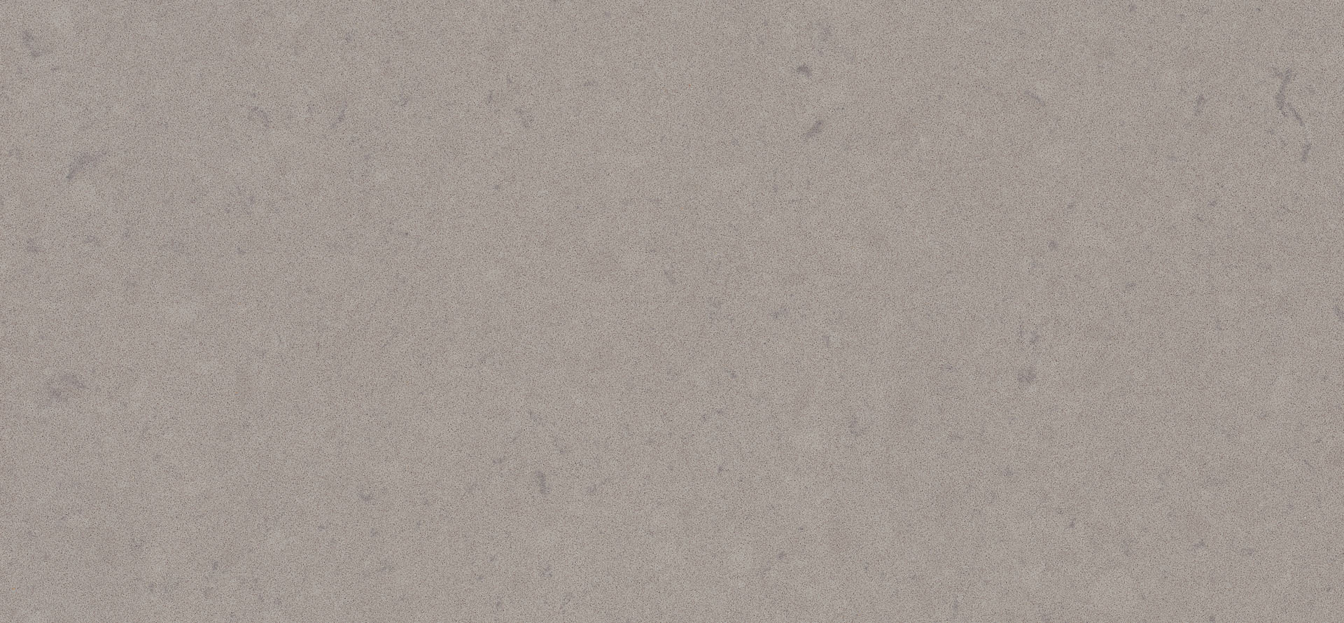 Oyster #4030